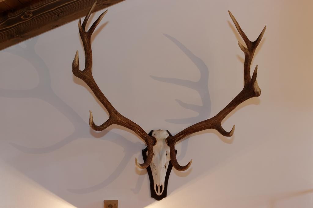 Ferienhaus Hirschkopf マウト 部屋 写真